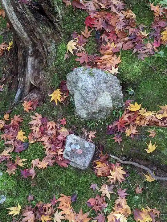 常寂光寺(京都府)