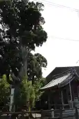 春日神社(岐阜県)