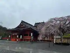 富士山本宮浅間大社(静岡県)