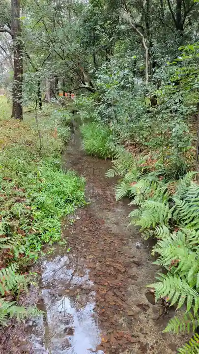賀茂御祖神社(下鴨神社)(京都府)