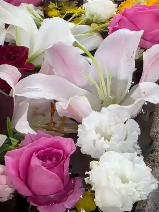 鳩森八幡神社の手水舎