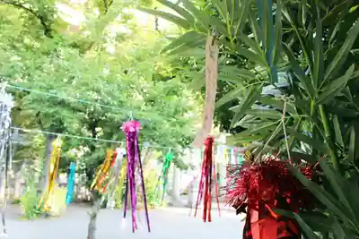 くまくま神社(導きの社 熊野町熊野神社)のお祭り