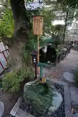 江島杉山神社の建物その他