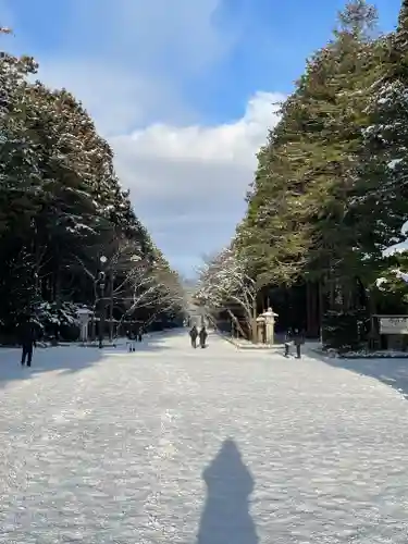 北海道神宮の景色