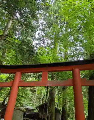 貴船神社奥宮の鳥居