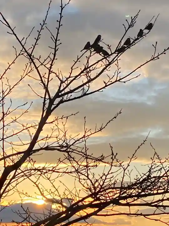 阿賀神社(滋賀県)