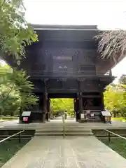 淨眞寺(東京都)