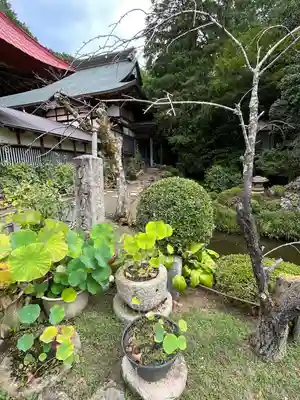 松尾寺(京都府)