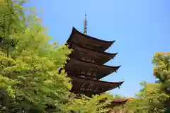 瑠璃光寺の塔