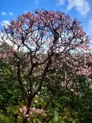 中野沼袋氷川神社(東京都)