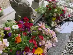 滑川神社 - 仕事と子どもの守り神の手水