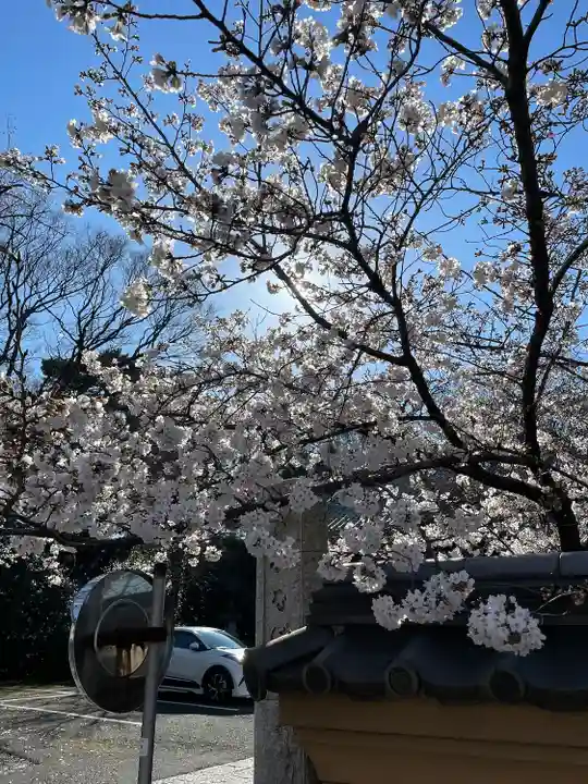 船橋不動尊 寳性寺(東京都)