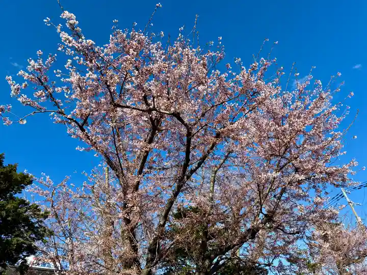 苗穂神社(北海道)