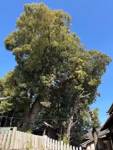 七所神社(愛知県)