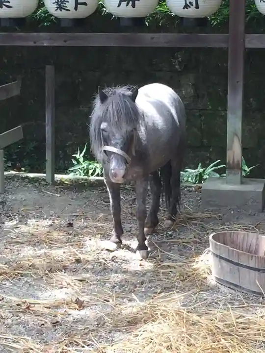 大石神社の動物