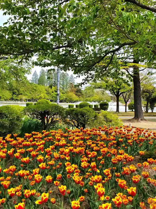 開成山大神宮の自然