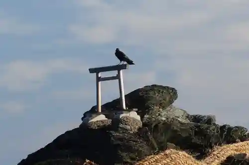 二見興玉神社の鳥居