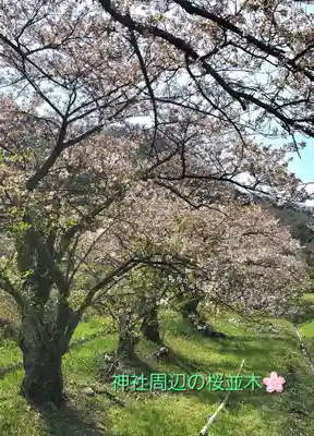 高司神社〜むすびの神の鎮まる社〜(福島県)