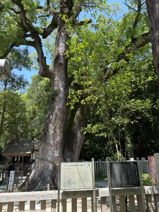 伊弉諾神宮の{uncategorized: "未分類", other: "その他", undefined: "問題あり", building: "その他建物", grave: "お墓", sacred_gate: "鳥居", guardian: "狛犬", statue: "像", buddha: "仏像", history: "歴史", nature: "自然", garden: "庭園", animal: "動物", pagoda: "塔", temizu: "手水舎", mountain_gate: "山門・神門", sanctuary: "本殿・本堂", subordinate: "末社・摂社", art: "芸術", scenery: "景色", jizo: "地蔵", ema: "絵馬", goshuin: "御朱印", omikuji: "おみくじ", items: "授与品その他", amulet: "お守り", goshuincho: "御朱印帳", eats: "食事", festival: "お祭り", votive_dance: "神楽", shichigosan: "七五三参", wedding: "結婚式", experience: "体験その他", initially: "初詣", around: "周辺", anti_infection: "感染症対策"}