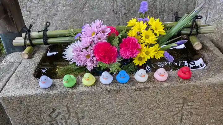 香雪院(京都府)