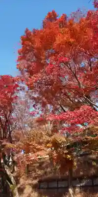 清水寺(京都府)