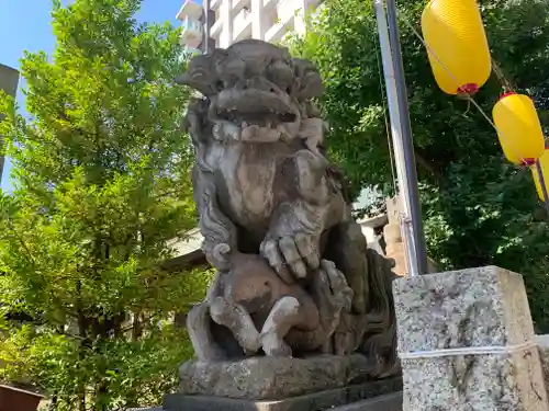 東神奈川熊野神社の狛犬