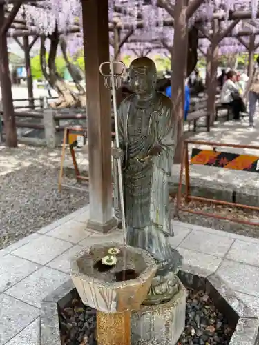 西新井大師総持寺(東京都)
