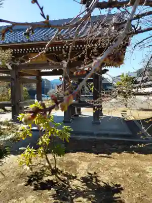 金剛寺の山門・神門