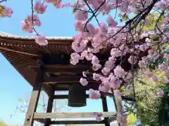 勝願寺(埼玉県)