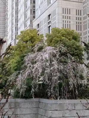 熊野神社(東京都)