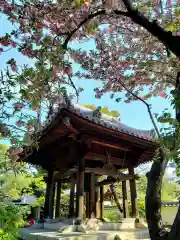 圓照寺の建物その他