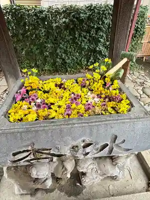 於菊稲荷神社の手水舎