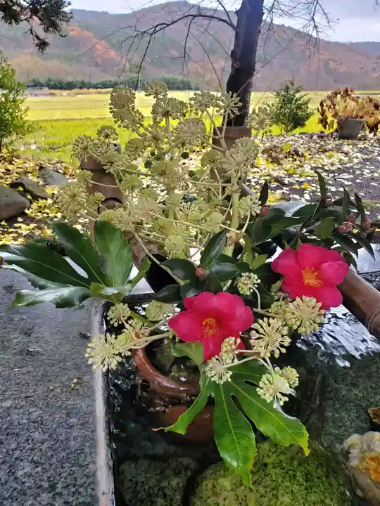 高司神社〜むすびの神の鎮まる社〜(福島県)