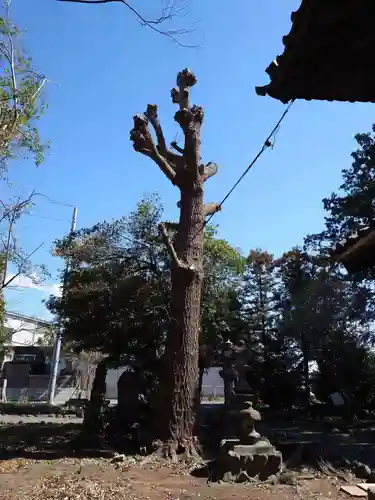 春日神社(埼玉県)