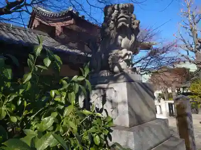 石濱神社の狛犬