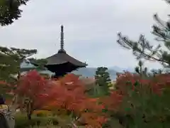 常寂光寺の建物その他