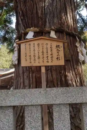 諏訪大社下社秋宮(長野県)