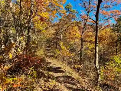 愛宕神社の自然