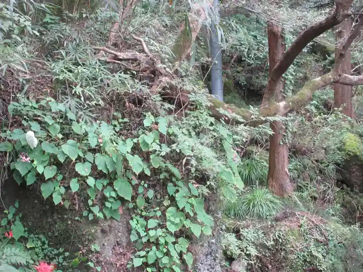 観音院(埼玉県)