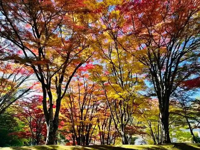 土津神社|こどもと出世の神さまの自然