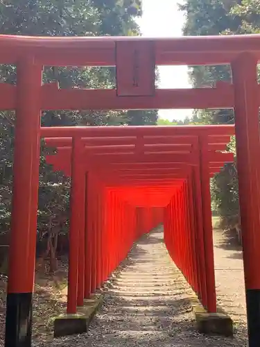 南宮稲荷大明神の鳥居