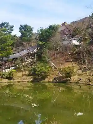高台寺（高台寿聖禅寺・高臺寺）(京都府)