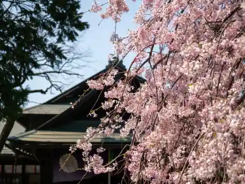 猿田彦神社(東京都)