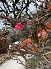 賀茂御祖神社（下鴨神社）の自然