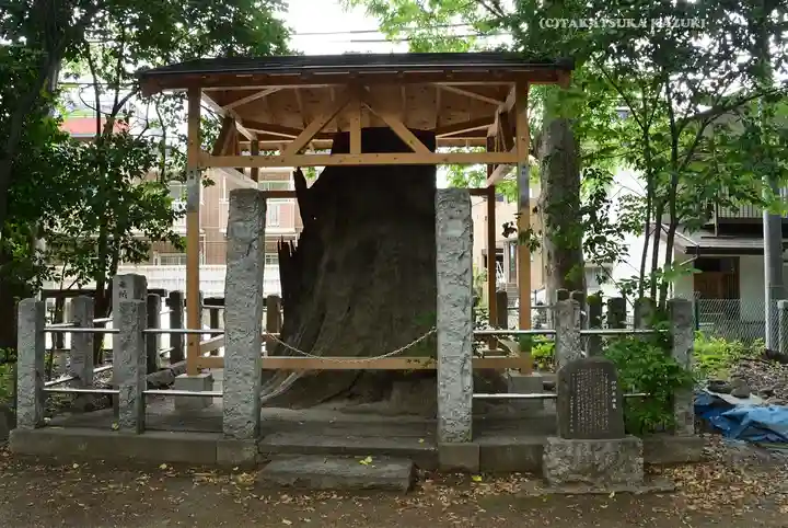 丸子山王日枝神社(神奈川県)
