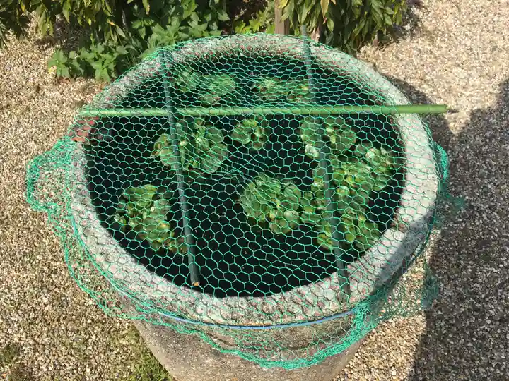 崇福寺のその他建物