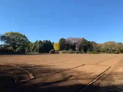 明治神宮(千葉県)