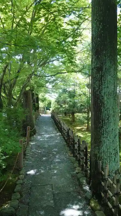 龍安寺(京都府)