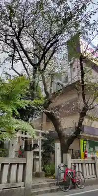 さくら稲荷(東京都)