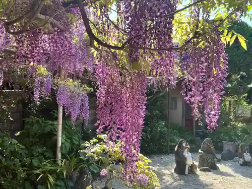 市場稲荷神社(大阪府)